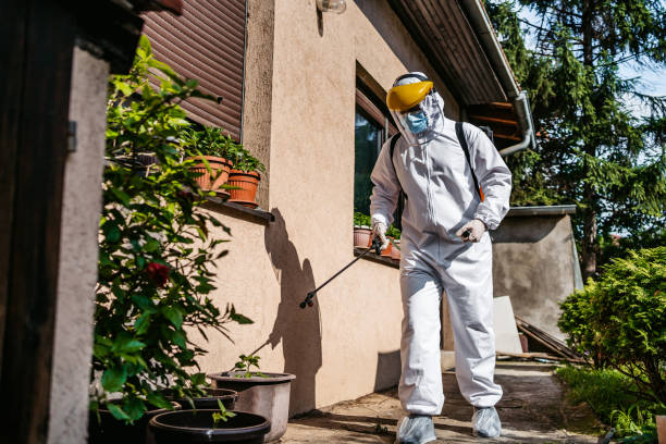 Best Pest Control Near Me  in East Griffin, GA