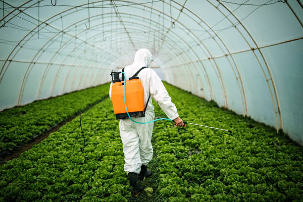 Best Pest Control for Homes  in East Griffin, GA