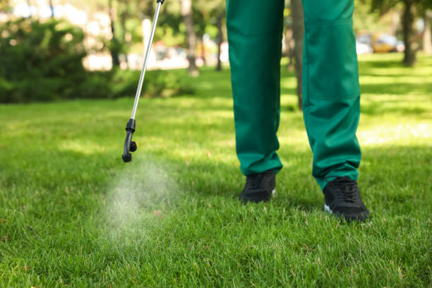 Best Pest Removal Services  in East Griffin, GA