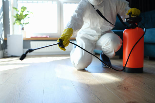 Best Mosquito Control Services  in East Griffin, GA