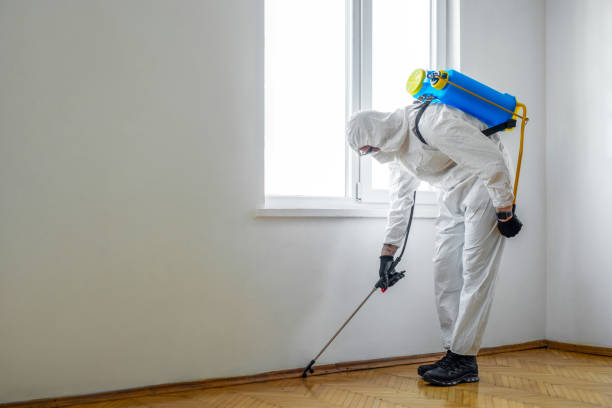 Best Rat Extermination Near Me  in East Griffin, GA