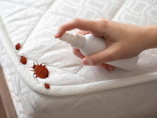 Best Ant Control Services  in East Griffin, GA