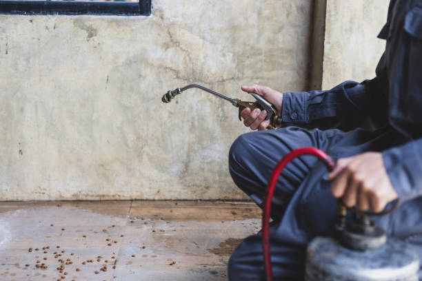 Professional Pest Control in East Griffin, GA